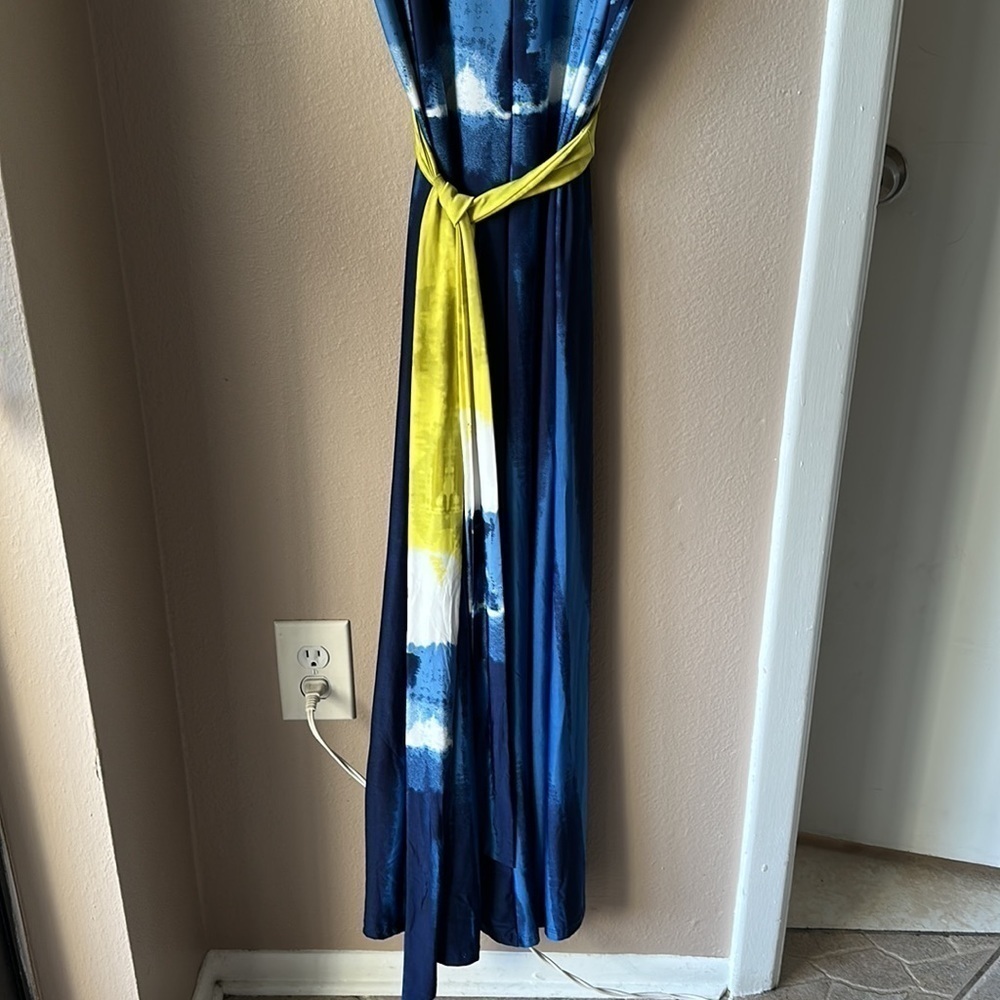 BLOOMING ROSE Colorblock Sleeveless Maxi Dress - Picture 3 of 7
